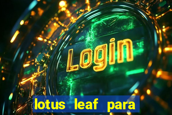 lotus leaf para que serve