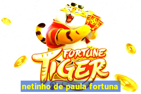 netinho de paula fortuna