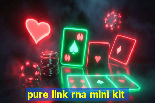 pure link rna mini kit