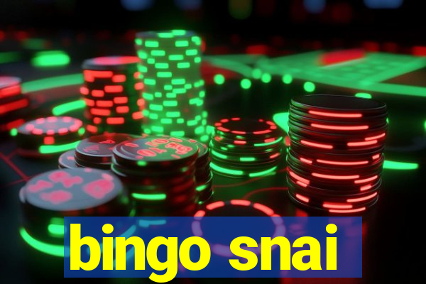 bingo snai