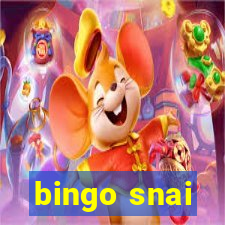 bingo snai