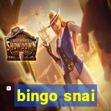 bingo snai