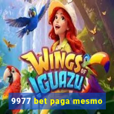 9977 bet paga mesmo