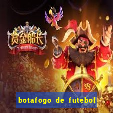 botafogo de futebol e reg