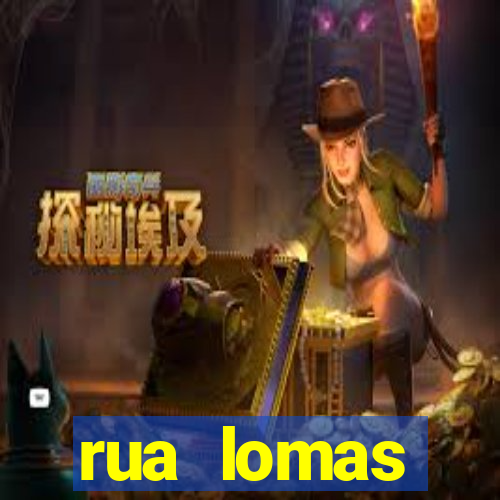 rua lomas valentinas, 347