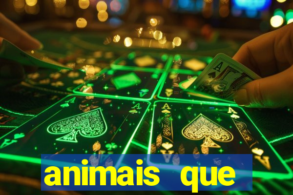 animais que produzem alimentos