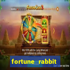 fortune rabbit estrategia Informational