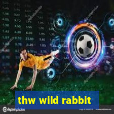 thw wild rabbit