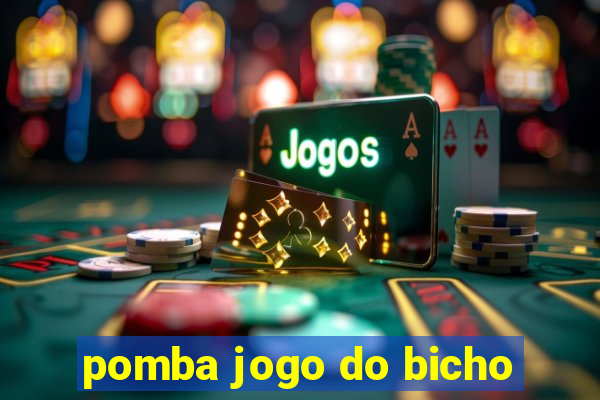 pomba jogo do bicho