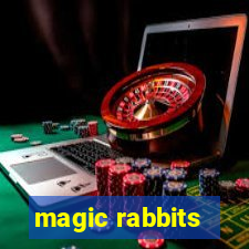 magic rabbits