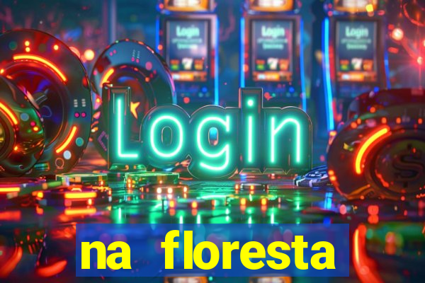 na floresta encantada meme