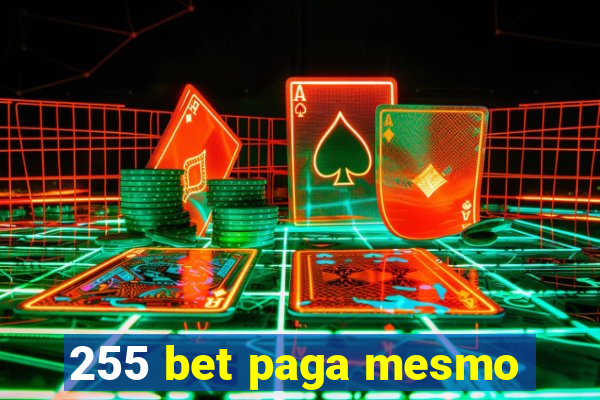 255 bet paga mesmo