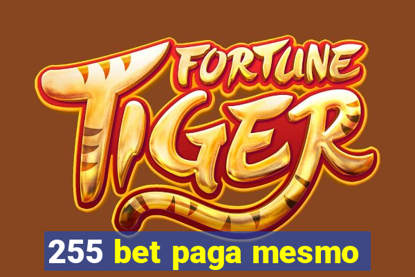 255 bet paga mesmo