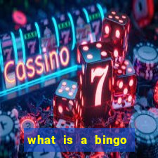 what is a bingo caller called