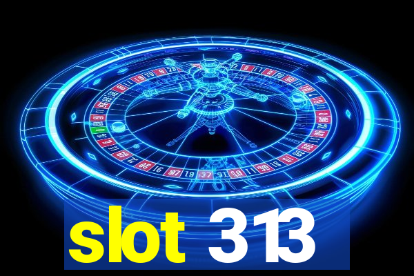 slot 313