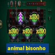 animal bisonho