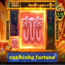 coelhinho fortune