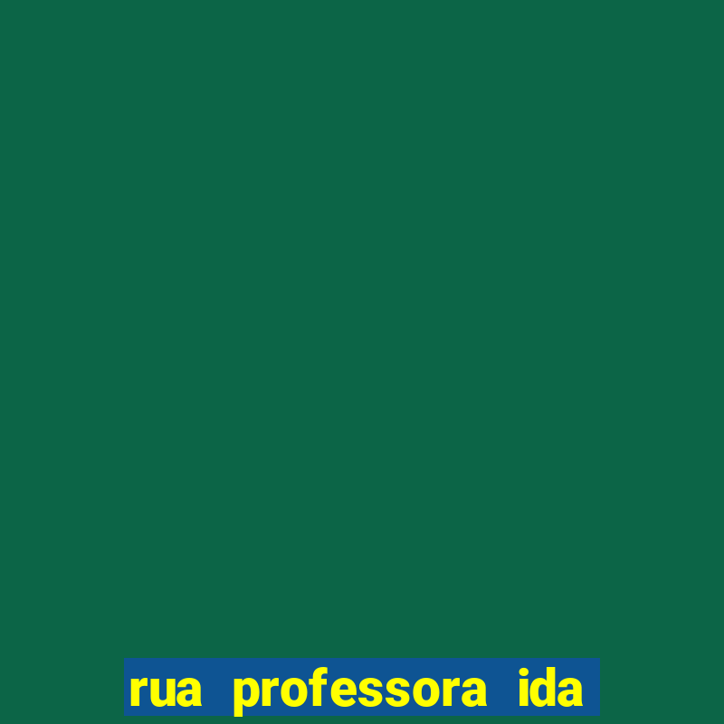 rua professora ida kolb 513