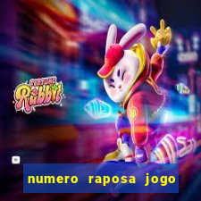 numero raposa jogo do bicho